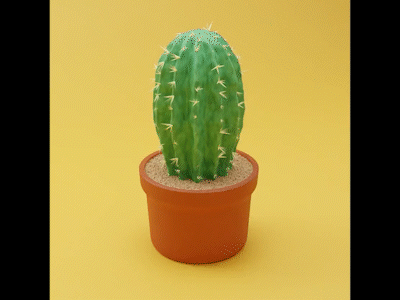 Procedural cactus 3d animation blend blender cactus gif render