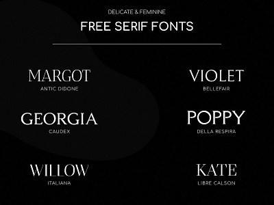 Serif Fonts adobe adobe photoshop bw creative fonts graphics serif type typography typography art