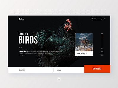 One page - Birds birds clean design header landing minimal product responsive ui ux web website