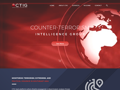 CTIG Website Redesign