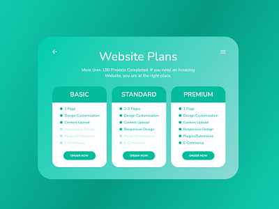 Website Plans Design Figma app branding dailyui design graphic design illustration logo ui ux vector