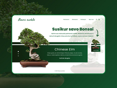 Bonsai tree shop UI/UX figma design