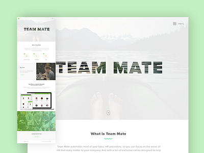 Team Mate design flat landing page simple typography ui unique ux web