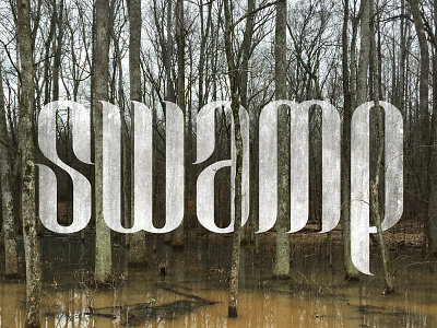 Swamp Typography forest swamp texture type typography