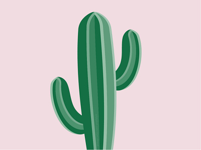 Cactus 2d art adobe illustrator art cactus design graphic design illustration minimalist plants vector