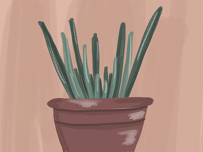 plant