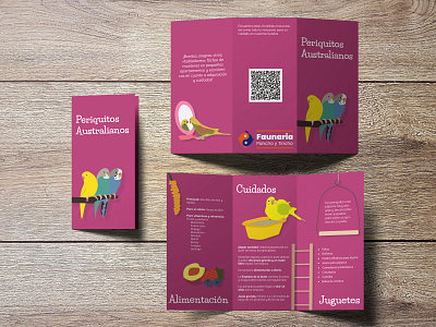 Tri-Fold Brochure Design