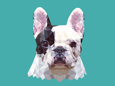 TRENCH dog frenchbulldog illustration triangle vector