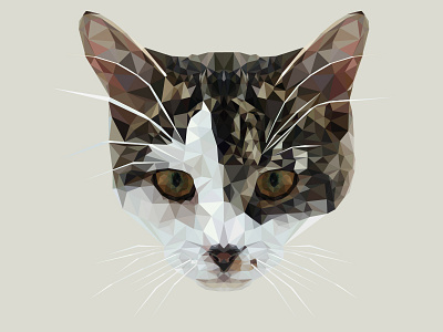 STELLA cat illustration kitten tranimal triangle