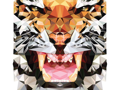 Triger animal colour hopelittle illustration illustrator tiger triangles triger