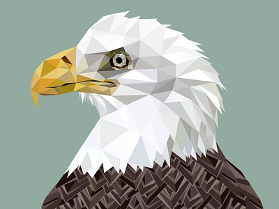 Treagle art eagle geometric hopelittle illustration illustrator triangle