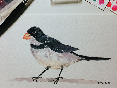 a little bird bird watercolor