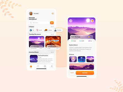 Travel App 3d graphic design illustration mobile travel ui