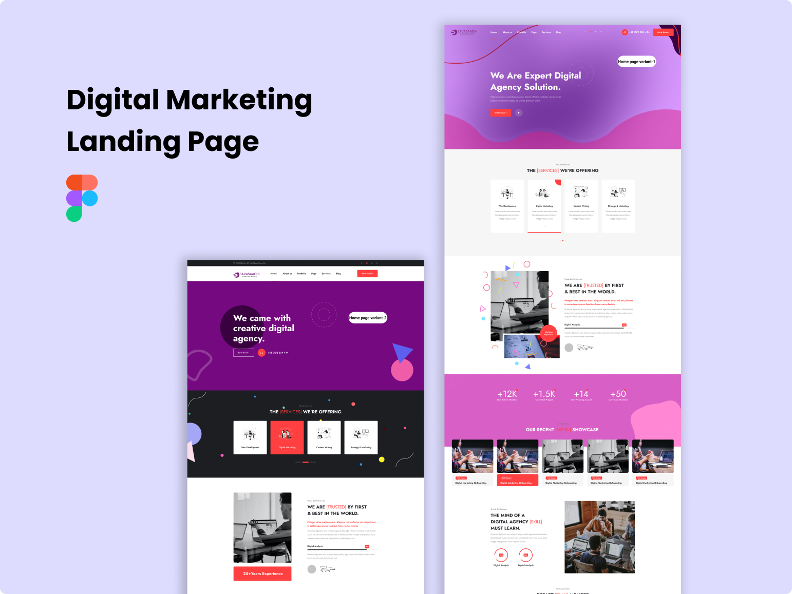 Digital Marketing Landing Page by Rayhan Tanvir on Dribbble