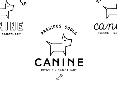 Canine Logo bone branding canine dog illustration logo typography