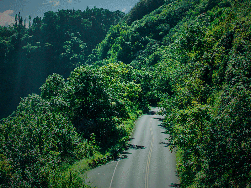 Road To Hana