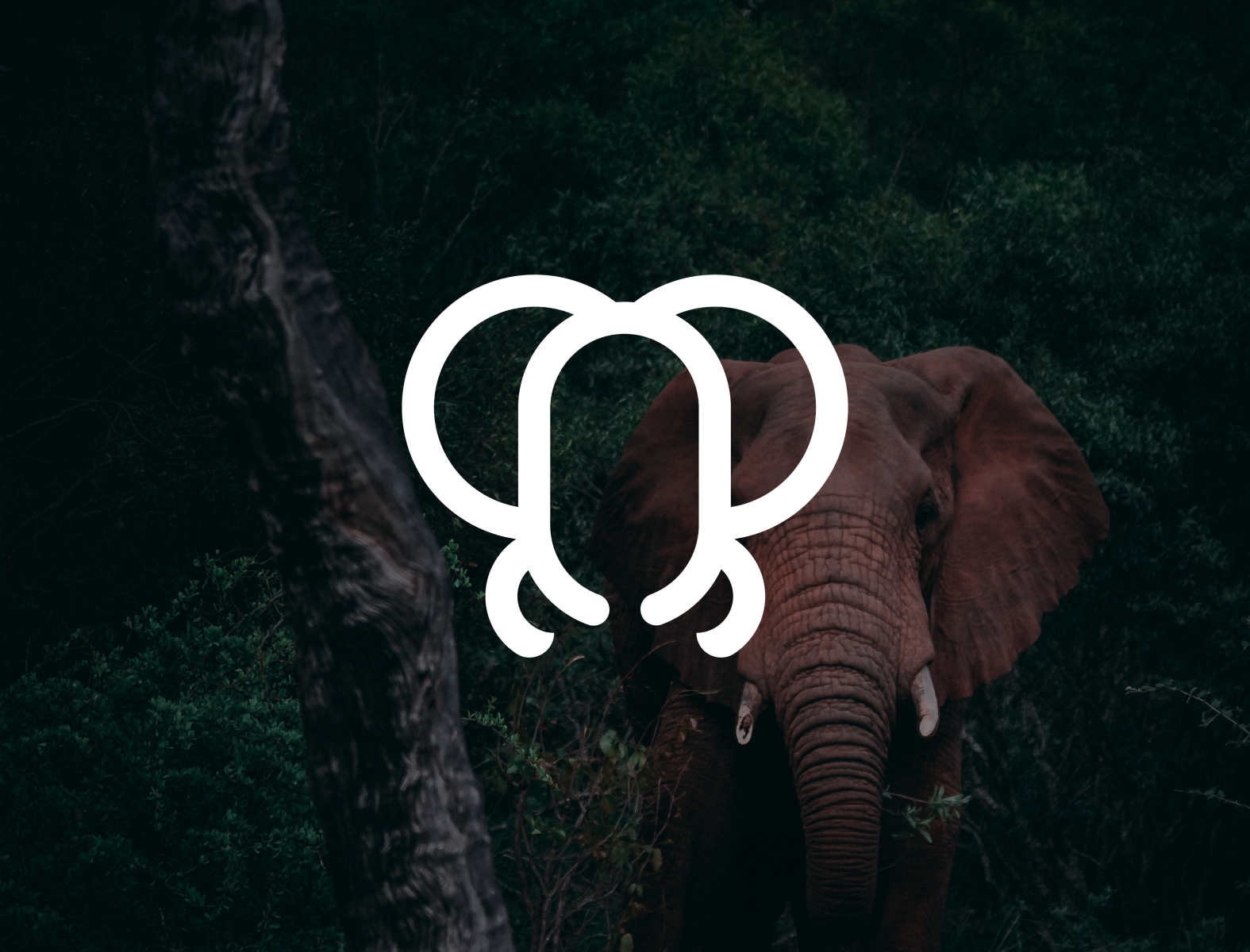 Simple Elephant Logo By Muhammad Khozinul Asror On Dribbble