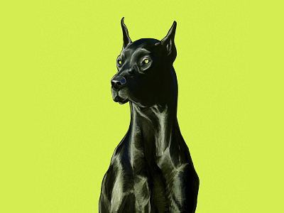 Dobermann digital painting doberman dobermann dog illustration pet popart realistic realistic drawing
