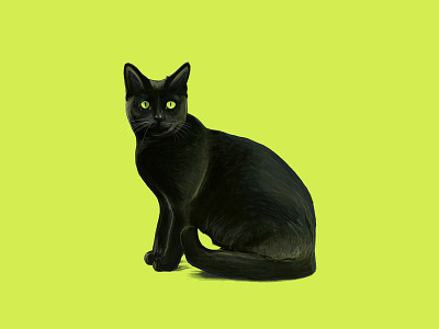Cat black cat digital painting drawing illustration pet realistic drawing sketch yellow