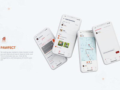 Pet walking App Design