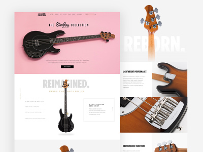 ErnieBall MusicMan Product Page anml commerce guitar music product page ui ux web