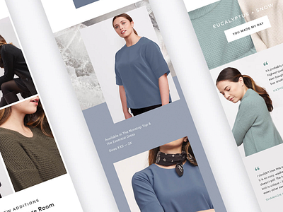 Brass Email Design ecommerce email fashion marketing web design