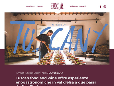Tuscan food and wine balloon chianti design farm illustration logo organic siena tuscany webdesign