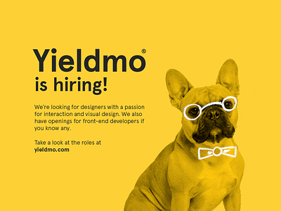 Yieldmo is hiring! ad advertising bow tie frenchie glasses hand drawn hiring office dog pets recruiting