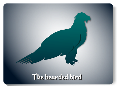 The bearded bird bearded bird bird branding design illustration