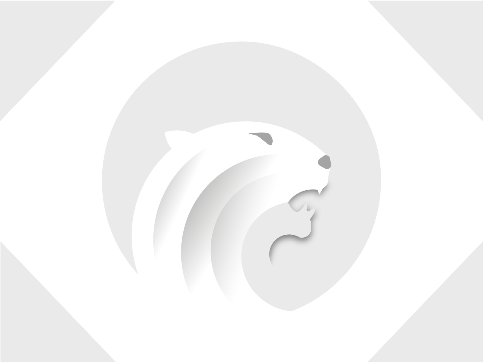 leopard-logo-by-vasily-on-dribbble