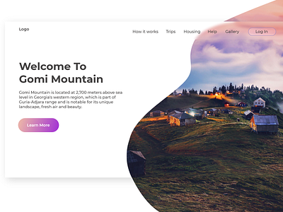 Travelling website design