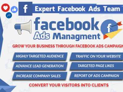 I will setup high converting facebook ads dropshipping facebook ads facebook advertising facebook marketing facebook video ads