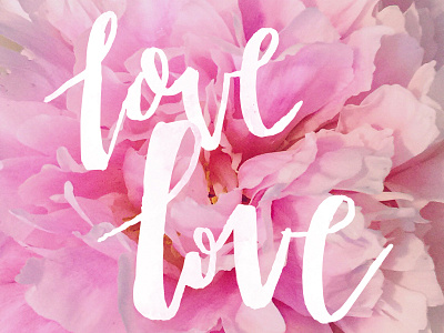 Love flowers handlettering love may flowers pink spring