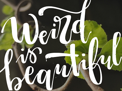 Weird is Beautiful beautiful handlettering script vines weird