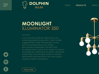 Dolphin bulbs web page design art branding design graphic design illustration ui ux vector web