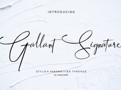 Gallant Signature Font by enway studio on Dribbble