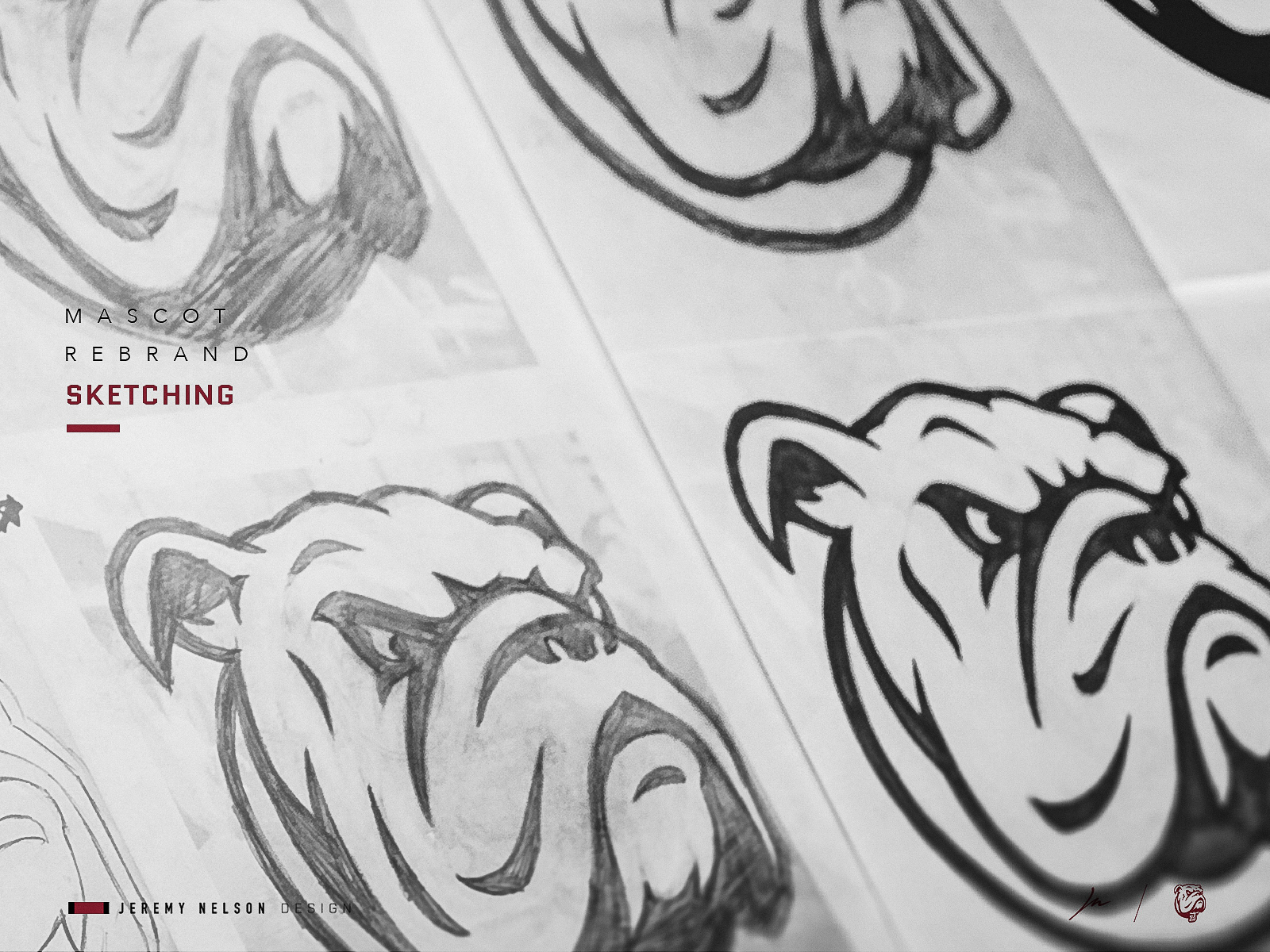 Canton Bulldogs  Primary Mascot by Jeremy Nelson on Dribbble