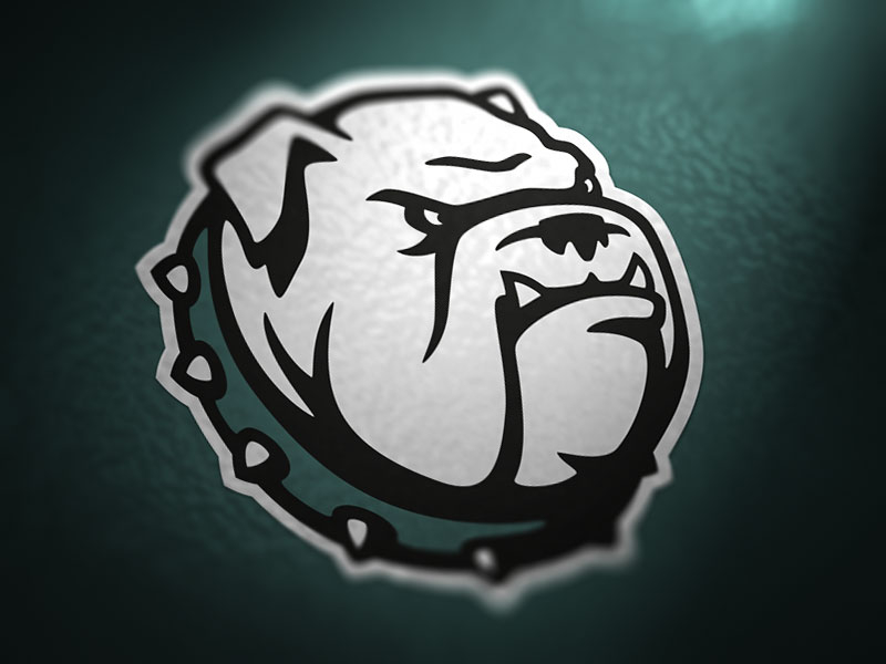 Canton Bulldogs  Primary Mascot by Jeremy Nelson on Dribbble