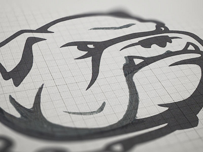 Canton Bulldogs | Concept Development animal branding bulldog design dog esports icon identity logo sports sports logo