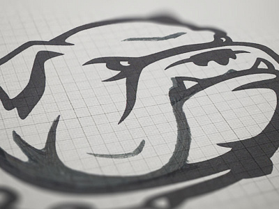 Canton Bulldogs  |  Concept Development