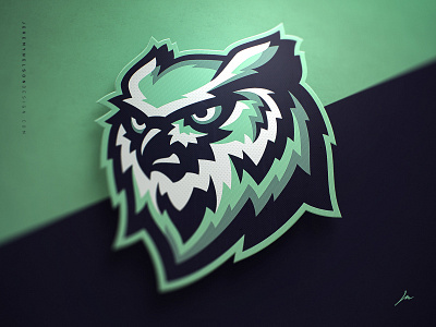 Owls Logo animal branding esports icon identity illustration logo mascot owl owl logo sports branding sports design