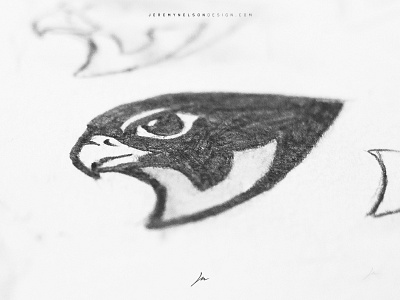 North Ridge Falcons | Sketching + Inspiration bird branding design eagle esports falcon falcons identity illustration logo mascot logo sport sport branding sports design sports logo sports mascot