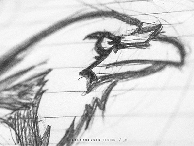 Houston Ravens | Sketching & Reference bird bird illustration bird logo branding esports icon identity illustration logo mascot mascot logo raven raven logo sketch sports art sports design sports logo sports mascot
