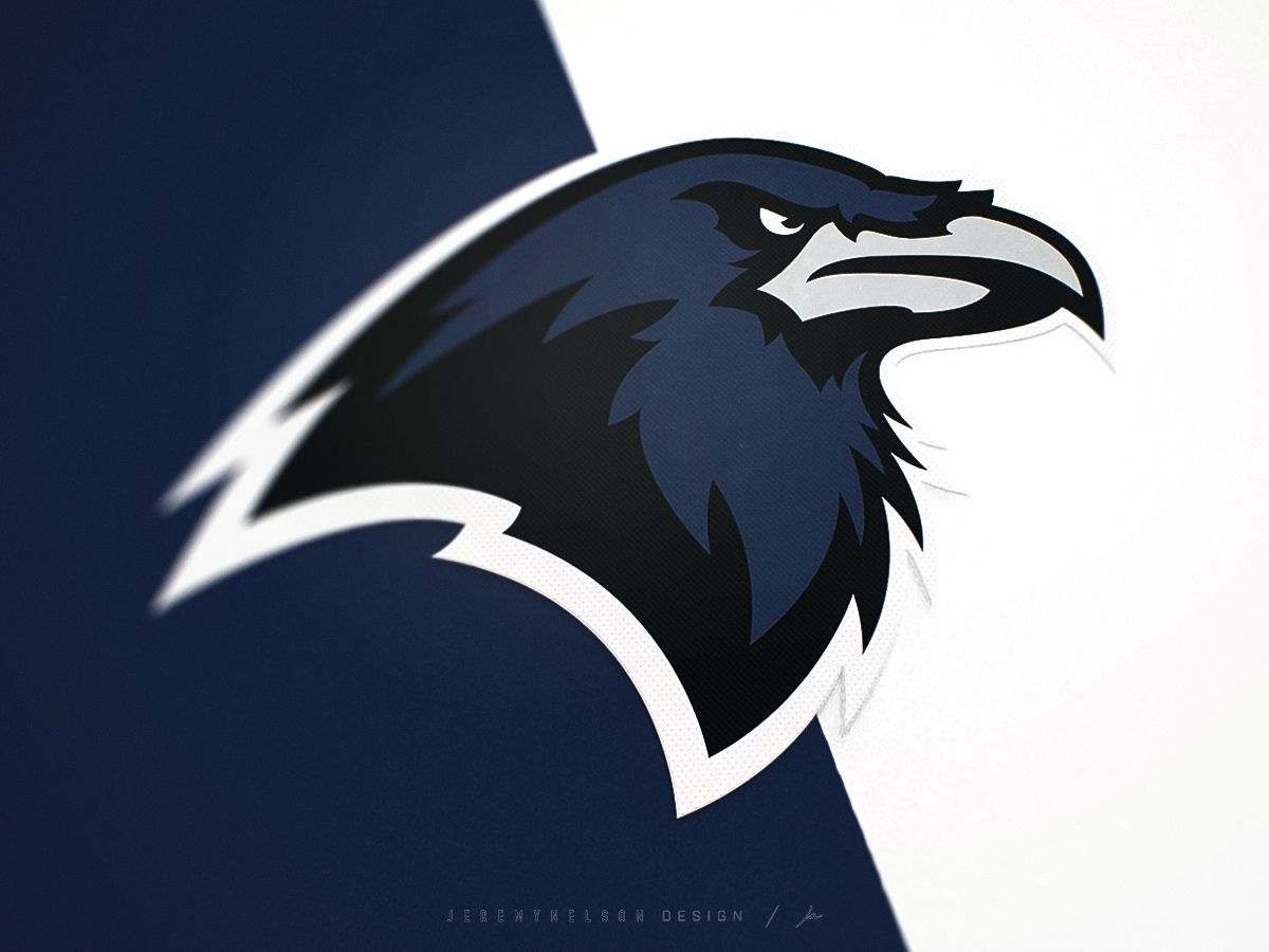 Houston Texans by Brave Bird Creative on Dribbble