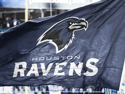 Houston Ravens | Brand Application