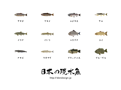 Japanese Freshwater Fishes fish freshwater icon illustration japan