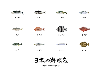 Japanese Saltwater Fishes fish icon illustration japan saltwater