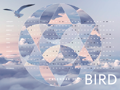 Bird Calendar Wallpaper 2017 bird calendar collage typography wallpaper