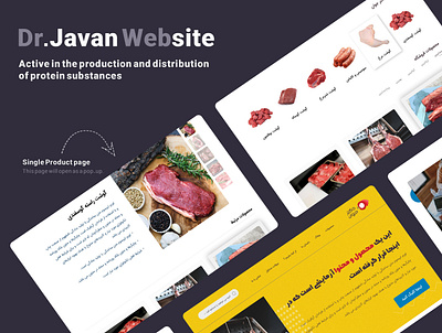 Dr.Javan Website branding design graphic design typography ui ux