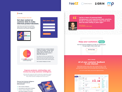 Sturdy - Landing Page Design cro